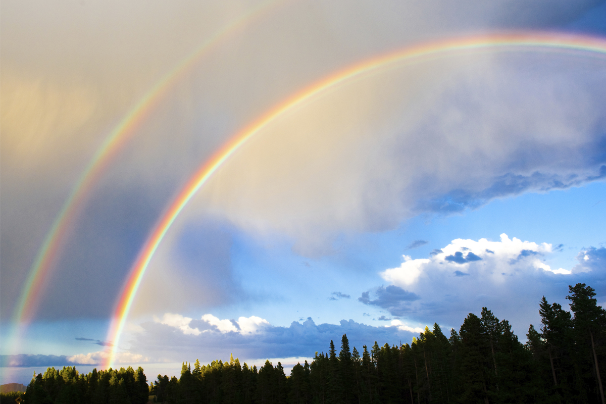 Double Rainbow (2010)