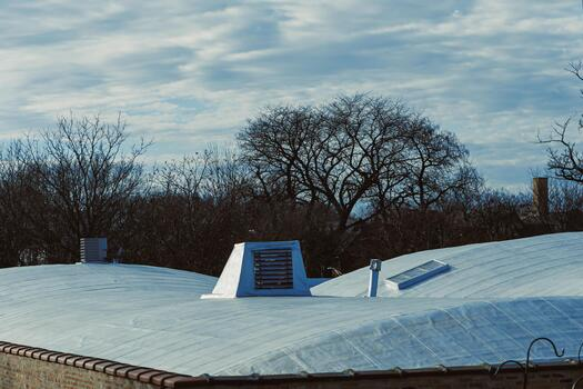 Energy Efficient Cool Roofs