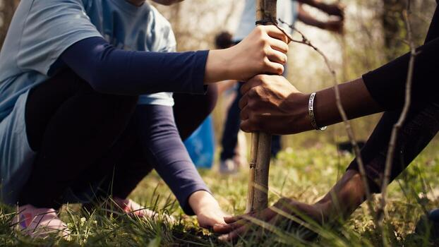 Social Impact Work